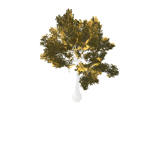 BeecthTree01GoldB2_afsTREE_xmvcb _xlod02_xlp